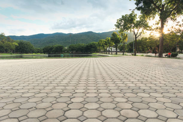Best Professional Driveway Pavers  in Bowling Green, OH